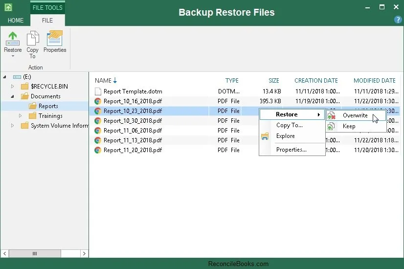 Restore Backup Files
