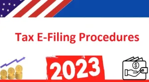 Tax E-Filing Procedures in 2023